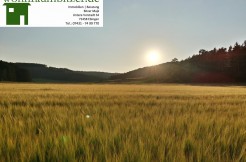 Bauplatz Albstadt Truchtelfingen Bol zu verkaufen