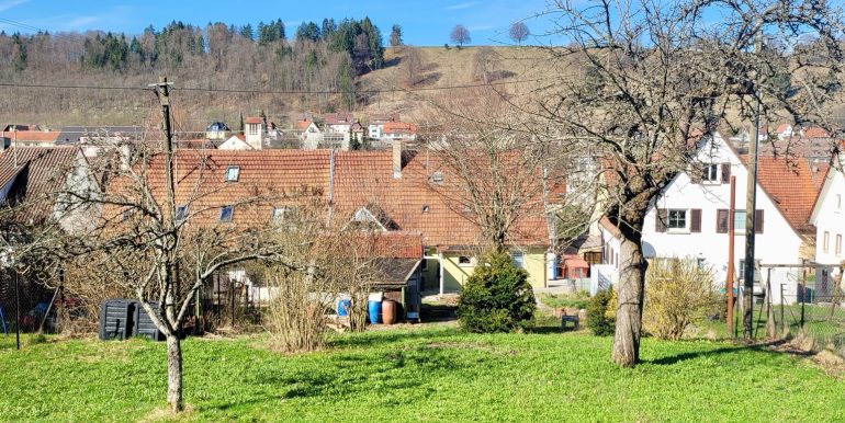 Große Doppelhaushälfte Albstadt-Onstmettingen zu verkaufen Majk Bitzer Immobilienmakler