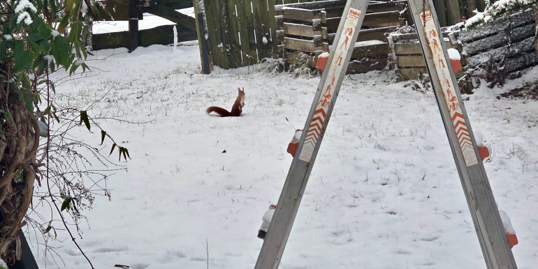 Haus Albstadt Truchtelfingen Bol 30