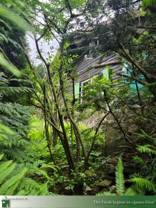 DAS FERIENHAUS in Marschalkenzimmern, Willkommen zu Hause?