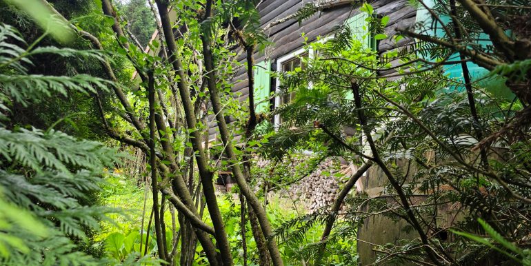 DAS FERIENHAUS in Marschalkenzimmern, Willkommen zu Hause?