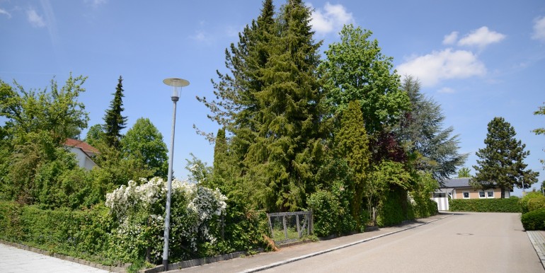 Einfamilienhaus Garten Bechtoldsweiler 6