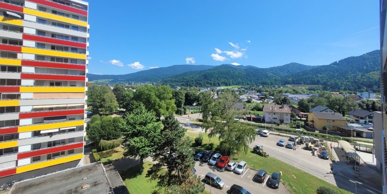 3 Zimmer Wohnung Waldkirch zu verkaufen 19