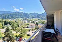 3 Zimmer Wohnung Waldkirch zu verkaufen