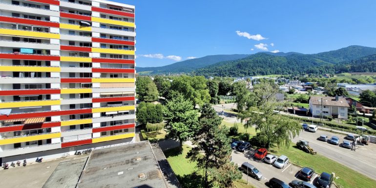 3 Zimmer Wohnung Waldkirch zu verkaufen Ausblick 3