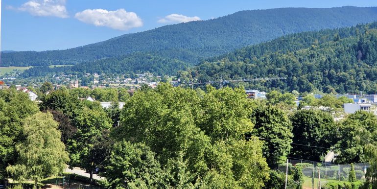 3 Zimmer Wohnung Waldkirch zu verkaufen, Blick auf den Kandel, Bitzer Immobilien Albstadt Ebingen, Bisingen, Bonn