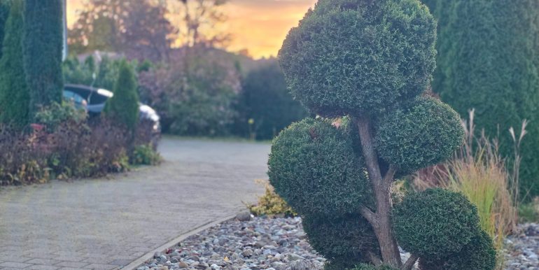 Einfamilienhaus mit doppeltem Bauplatz zu verkaufen 16