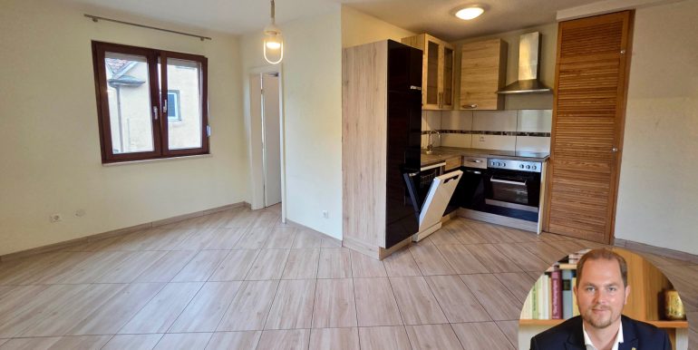 Wohnzimmer mit Küche 3 Zimmer Wohnung Reutlingen zu vermieten
